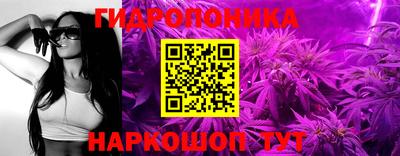хмурый Бийск