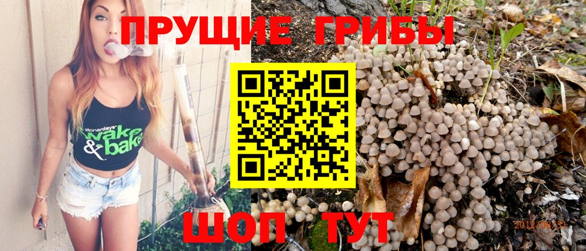 Псилоцибиновые грибы прущие грибы  Галлюциногенные грибы Magic Shrooms  Вход с VPN  Звенигород 